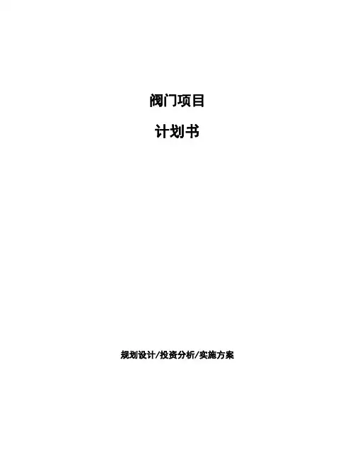 阀门项目计划书