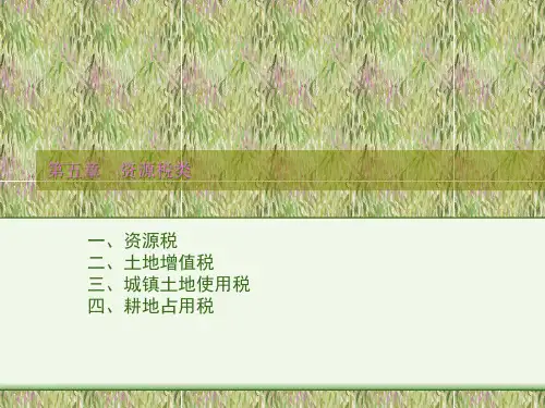 资源税类5.pptx
