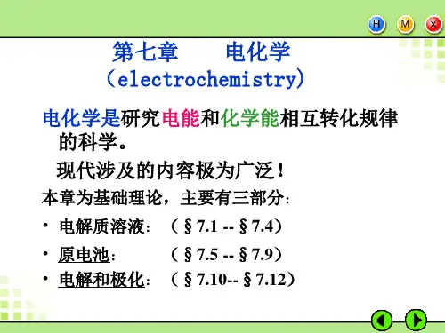 第七章 电化学