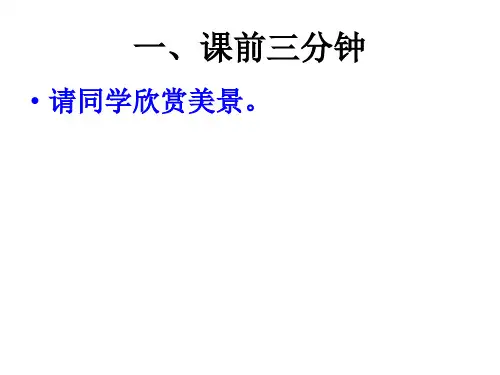 20、花的勇气(完美版)