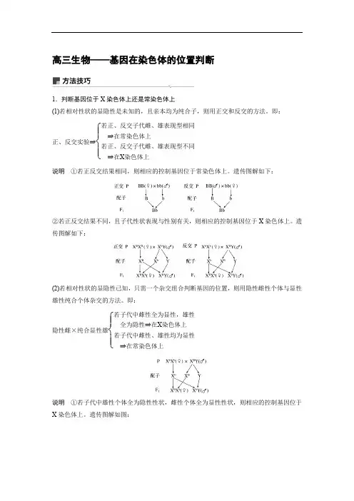 高三生物——基因在染色体的位置判断