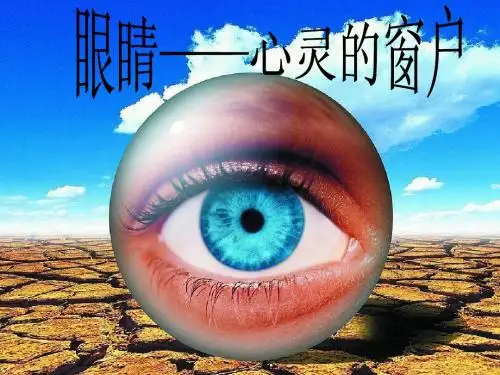 眼睛——心灵的窗户