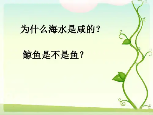 胡椒生长在哪里课件