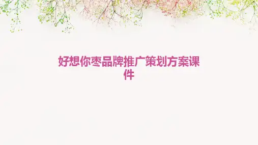 好想你枣品牌推广策划方案课件