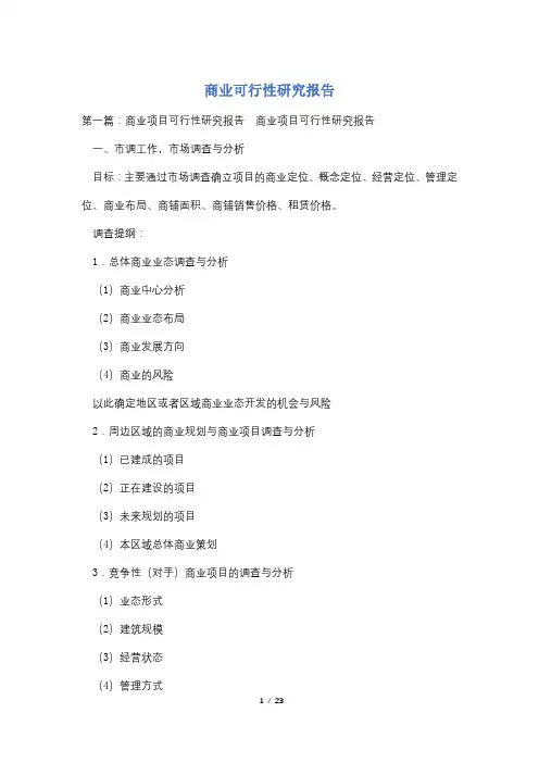 商业可行性研究报告