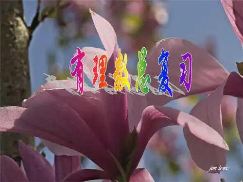 九年级数学第一轮复习