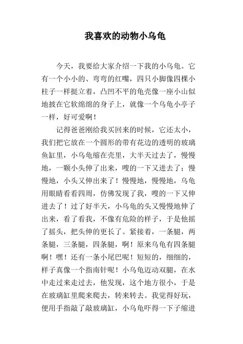 我喜欢的动物小乌龟