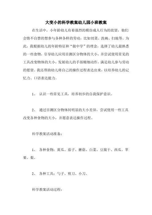 大变小的科学教案幼儿园小班教案