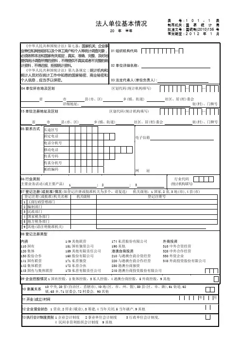 表101法人基本情况表