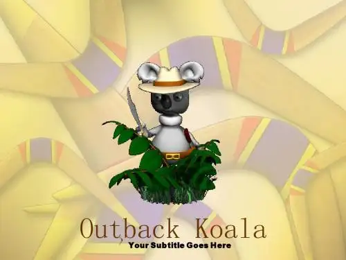 Outback Koala