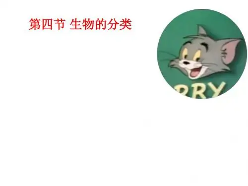第四节-生物的分类