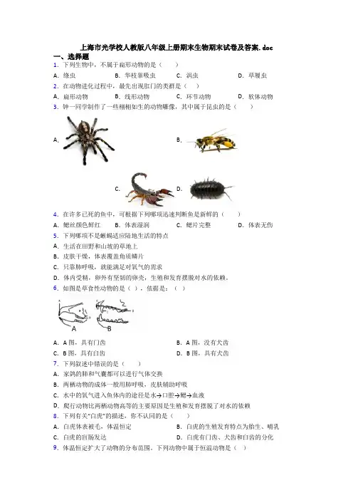 上海市光学校人教版八年级上册期末生物期末试卷及答案.doc