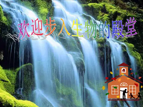 植物的呼吸作用精品PPT教学课件
