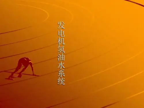 发电机氢油水