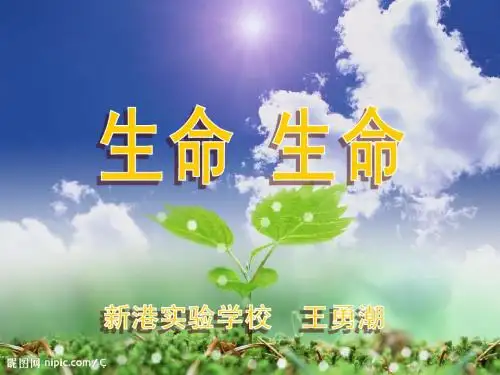 《生命生命》经典课件