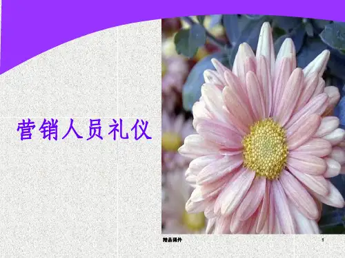 营销人员礼仪ppt课件