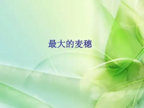 新苏教版六年级语文下册六年级下语文课件-最大的麦穗公开课课件课件