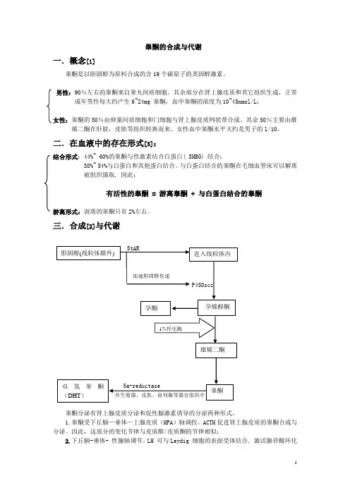 睾酮合成与代谢