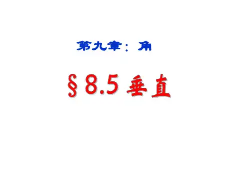 8.5《垂直》