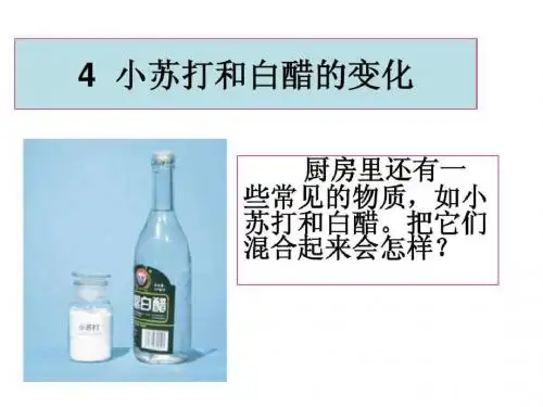 教科版科学六年级下册《小苏打和白醋的变化》_图文.ppt共19页