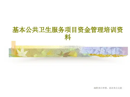 基本公共卫生服务项目资金管理培训资料共29页
