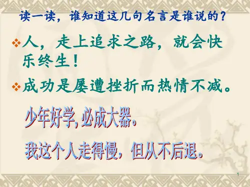 21鞋匠的儿子PPT课件