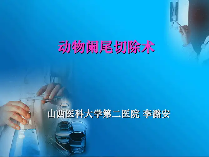 动物阑尾切除术