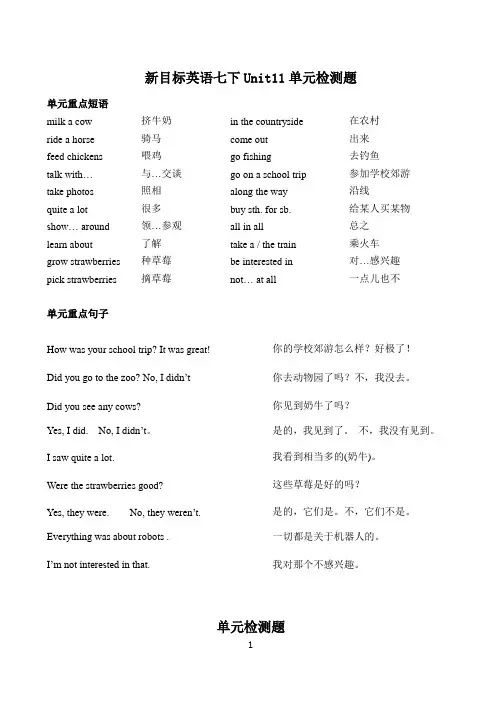 人教版七下英语Unit11单元检测题