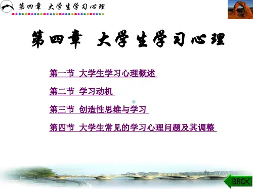 大学生心理健康教育第四章大学生学习心理ppt课件