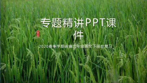 六年级语文下册总复习6专题精讲PPT课件(统编2020)