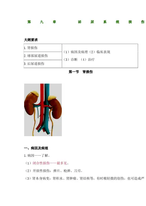 第九章泌尿系统损伤