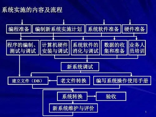 管理信息系统实施[精品ppt课件]