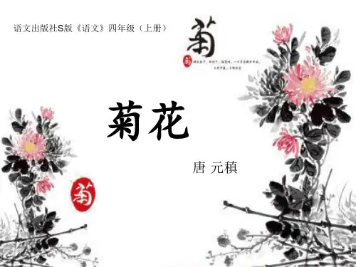 四年级上册语文课件-二单元 5 菊花 语文S版