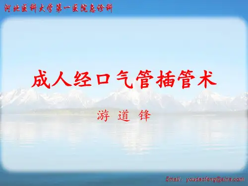 成人经口气管插管术