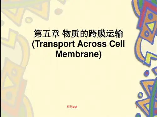 《物质的跨膜运输》PPT课件