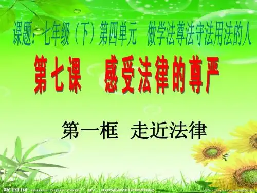人教版七年级下册第七课第一框走近法律(共38张PPT)