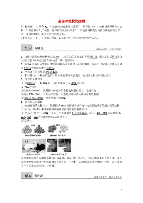 基因对性状的控制