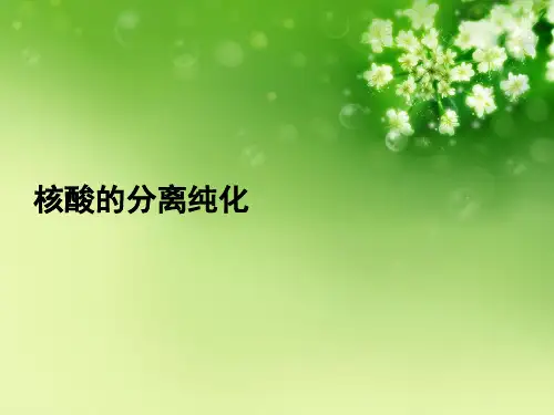 核酸的分离纯化优秀课件