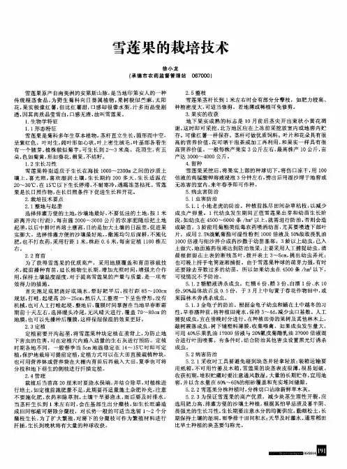 雪莲果的栽培技术