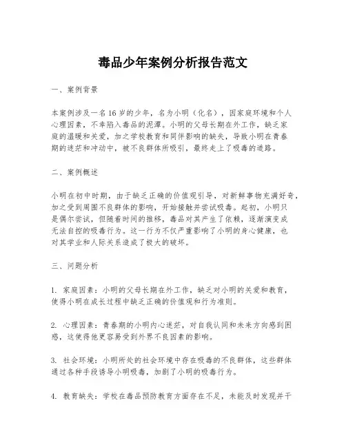 毒品少年案例分析报告范文