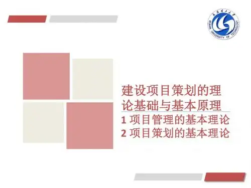 A2 建设项目策划的理论基础与基本原理