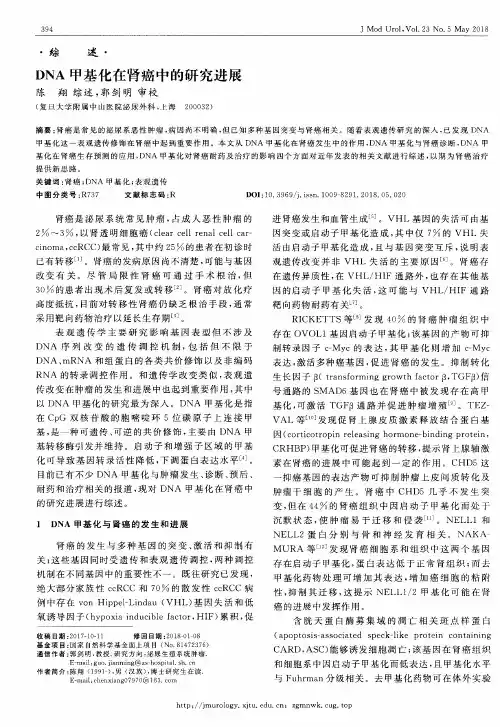 DNA甲基化在肾癌中的研究进展