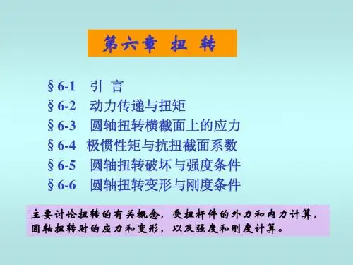 06扭转