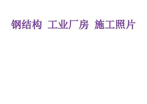 钢结构 工业厂房  施工照片 - 副本 (348)