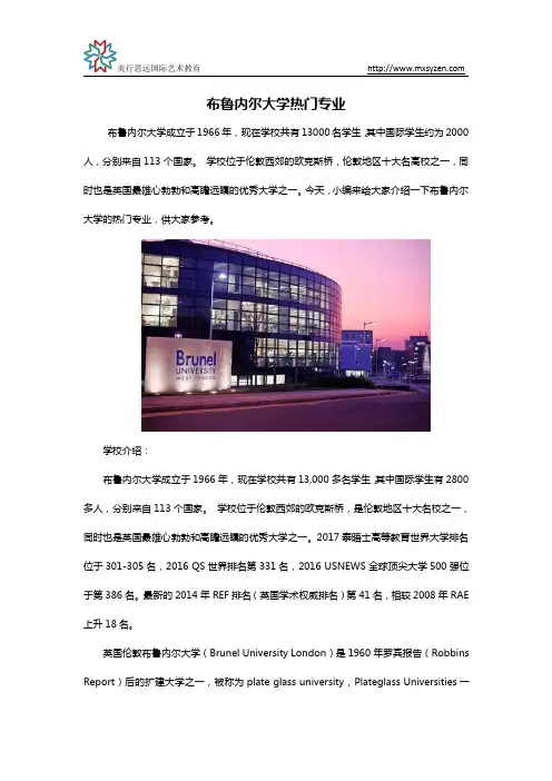 布鲁内尔大学热门专业