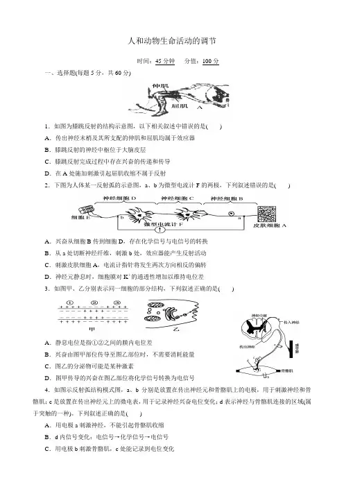 高考生物二轮复习：专题演练：人和动物生命活动的调节