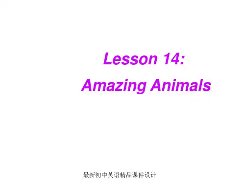 最新冀教版初中英语八年级下册《Lesson 14 Amazing Animals》精品PPT课件 (1)
