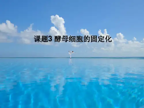 酵母菌细胞的固定化PPT课件