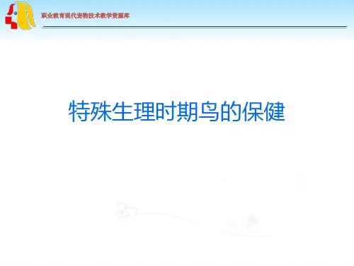 特殊生理时期鸟的保健