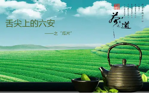 六安和六安瓜片简介PPT课件